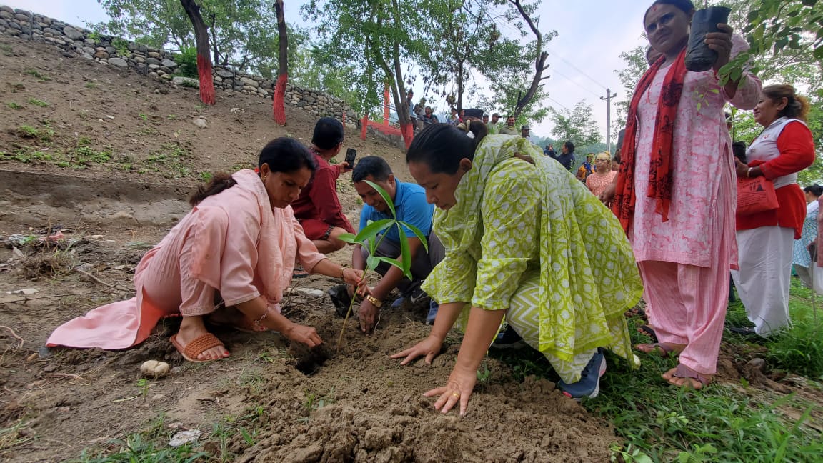 हेटौंडा ११ मा बृक्षारोपण