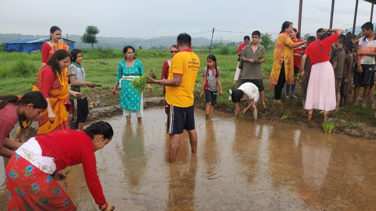 हेटौंडा ११ मा राष्ट्रिय धान दिवस यसरि मनाइयो
