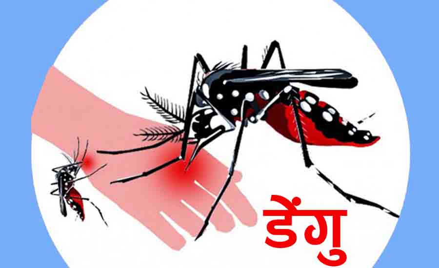 बागमती प्रदेशमा डेंगी बिरामी दिनानुदिन बढदै