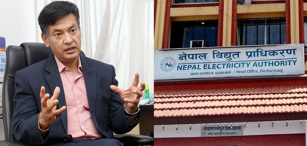 विद्युत् प्राधिकरणको कार्यकारी निर्देशकमा हितेन्द्र देव शाक्य नियुक्त