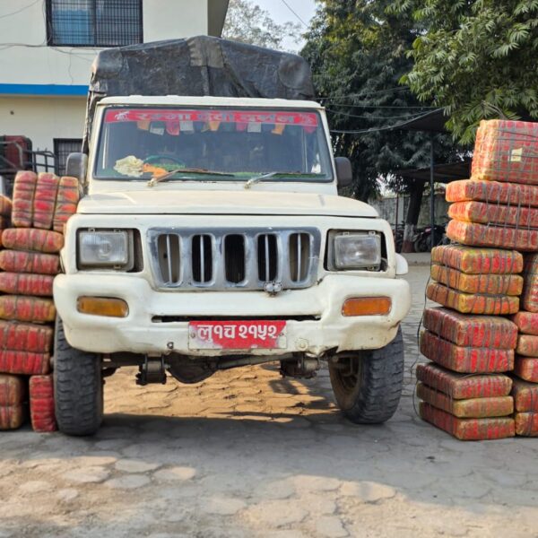 मकवानपुरमा ४३८ किलो ४३ ग्राम गाँजा…