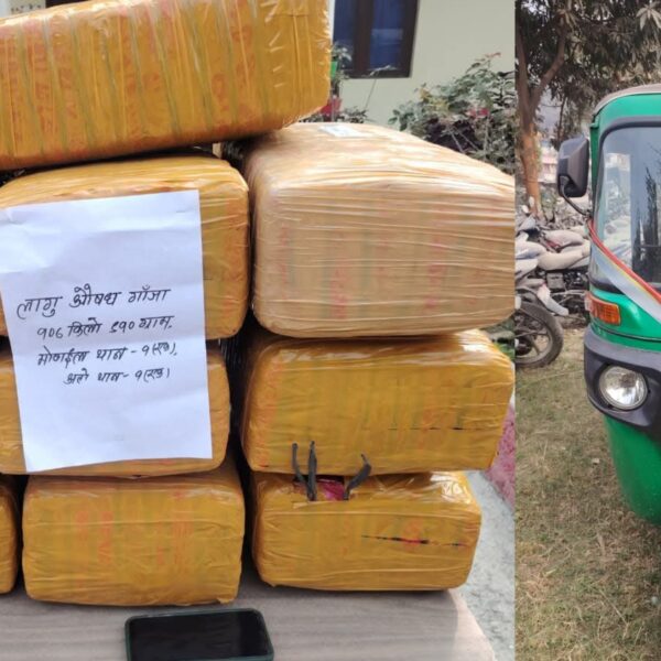 मकवानपुरको मनहरीमा अटो चेकजाँच गर्दा ठूलो परिमाणमा गाँजा फेला दुई जना पक्राउ