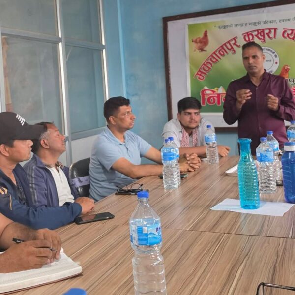 सरकारी कडाइले पोल्ट्री व्यवसायमा सुधार, स्थानीय&hellip;