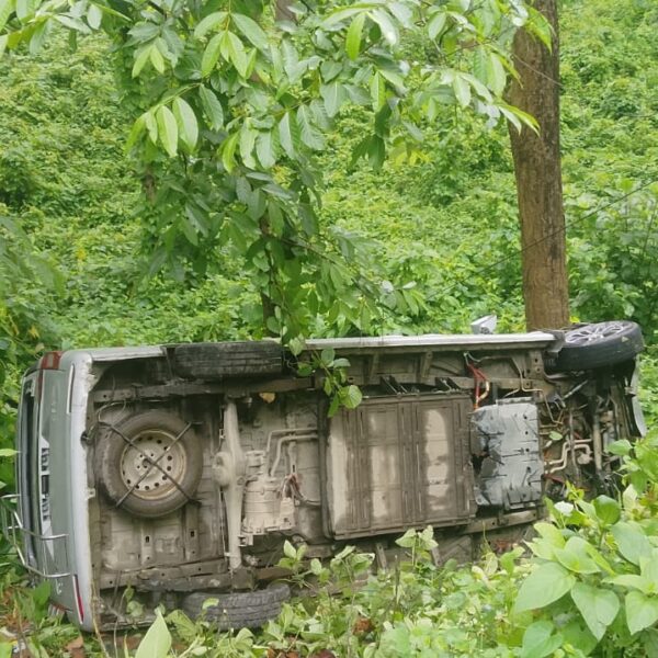 जंगली जनावरले बाटो काट्दा मकवानपुरमा EV&hellip;