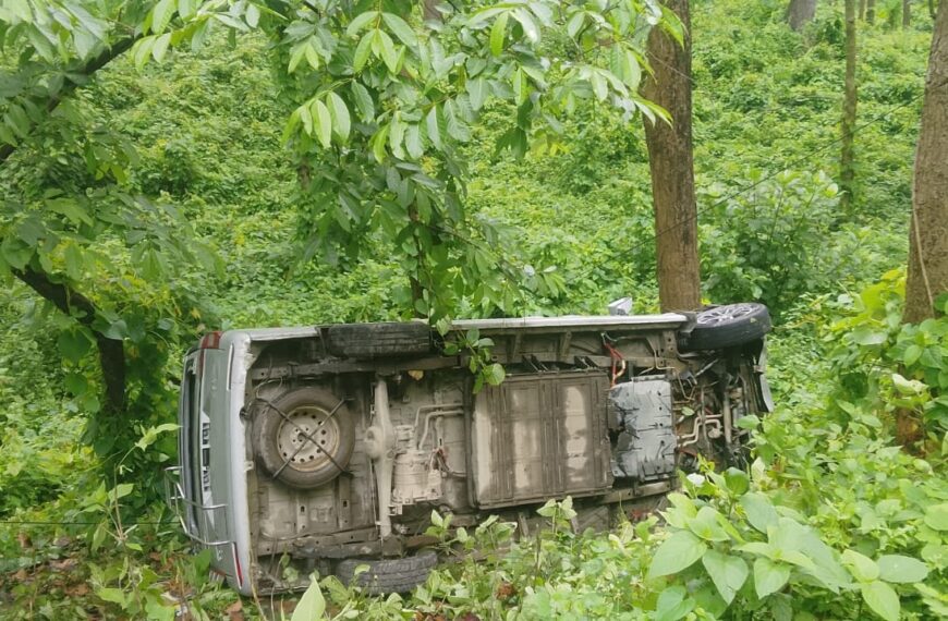 जंगली जनावरले बाटो काट्दा मकवानपुरमा EV गाडी पल्टियो, ६ जना घाइते