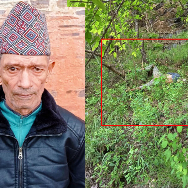 तीन दिनदेखि बेपत्ता महराको शव भिर…