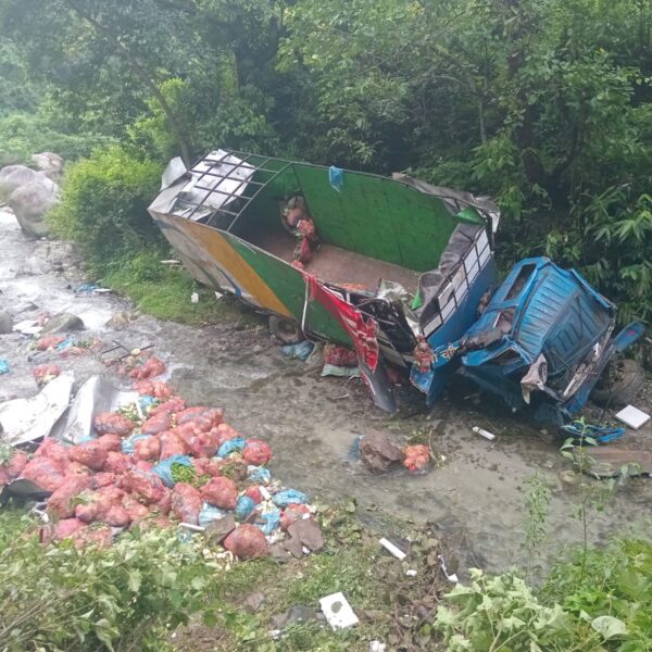 भिमफेदीमा तरकारी बोकेको ट्रक दुर्घटना हुँदा १ जनाको मृत्यु, चालक घाइते